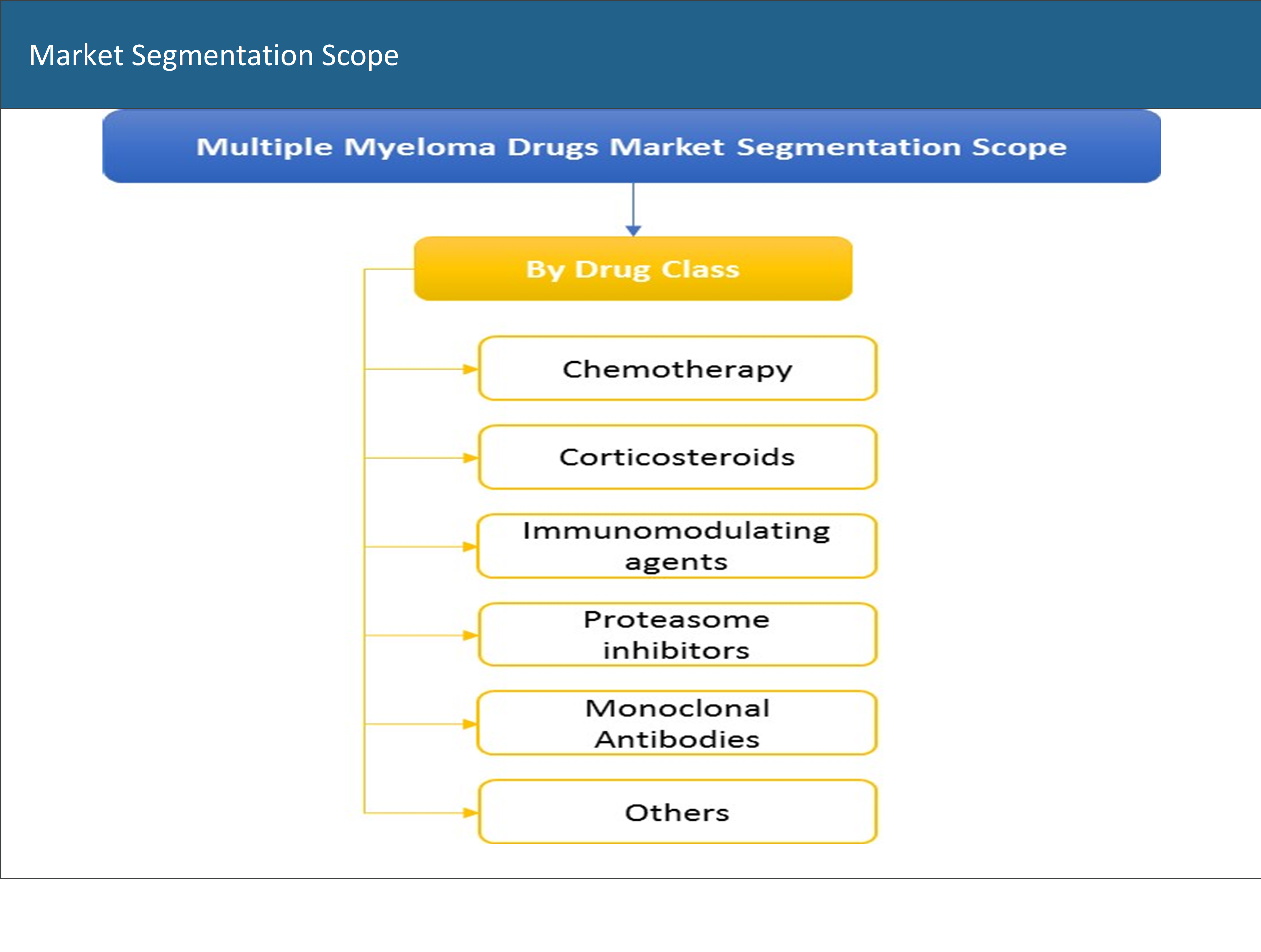 Global Multiple Myeloma Drugs Market Segmentation