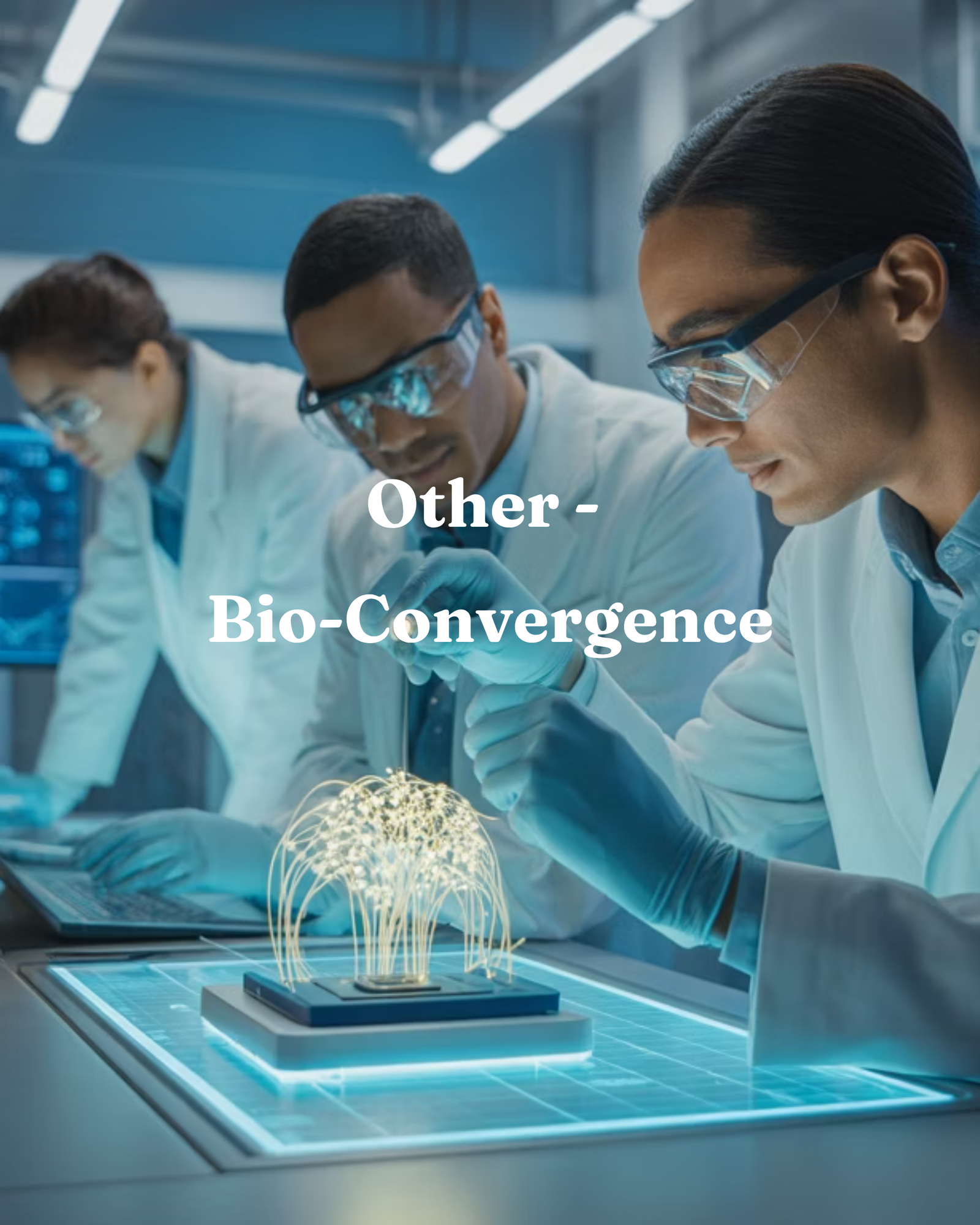Enterprise Networking for Businesses